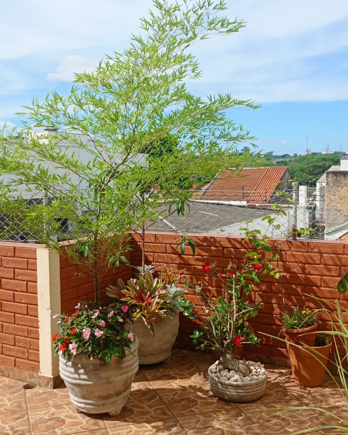 Terraço do Second Home com vasos de flores, bambu e muro de tijolo aparente sob céu azul