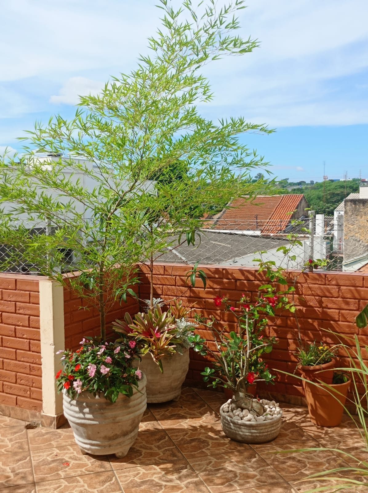 Terraço ensolarado do Second Home Coliving em Salto, com vasos de flores e muro de tijolo
